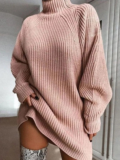 Plus Size Turtleneck Long Sleeve Knit Dress